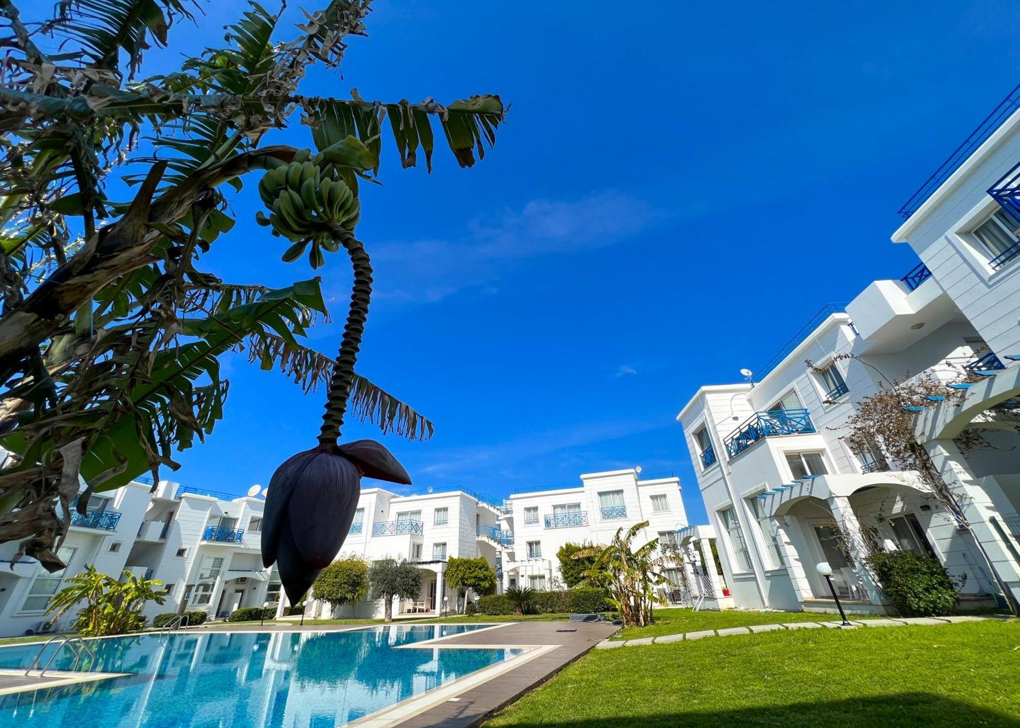 Garden Loft Apt With Pool In Alsancak Kyrenia كيرينيا المظهر الخارجي الصورة